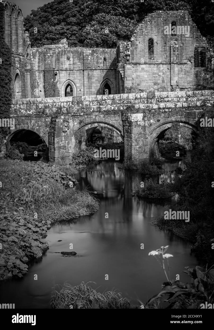 Les ruines de l'abbaye des Fontaines cisterciennes font partie de l' National Trust Fountains Abbey et Studley Royal Estate près de Ripon Dans le North Yorkshire Banque D'Images