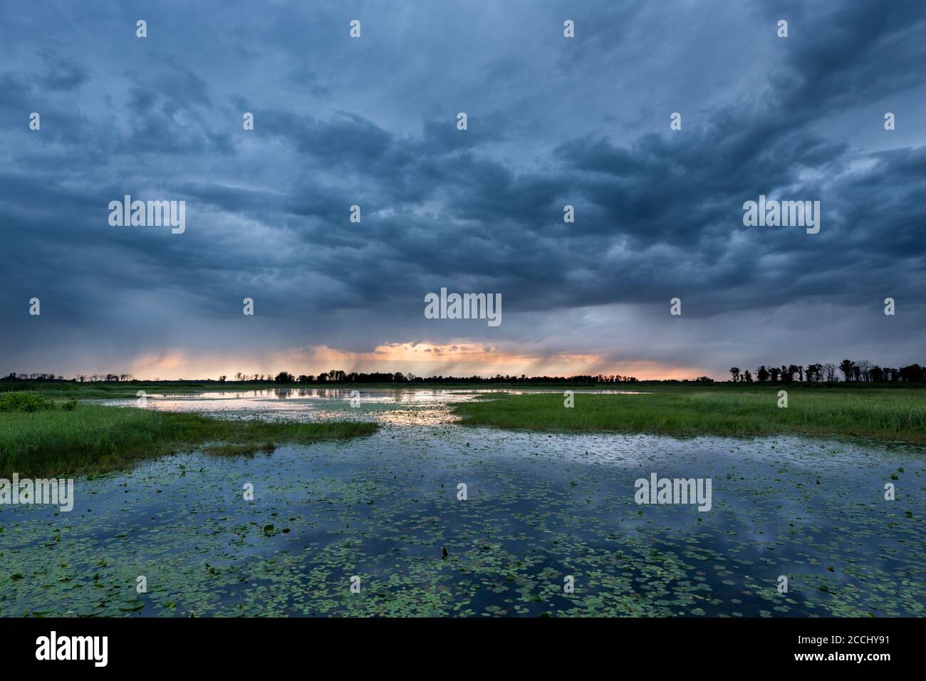 Approche des orages au-dessus des zones humides, au coucher du soleil, été, WI, Etats-Unis, par Dominique Braud/Dembinsky photo Assoc Banque D'Images