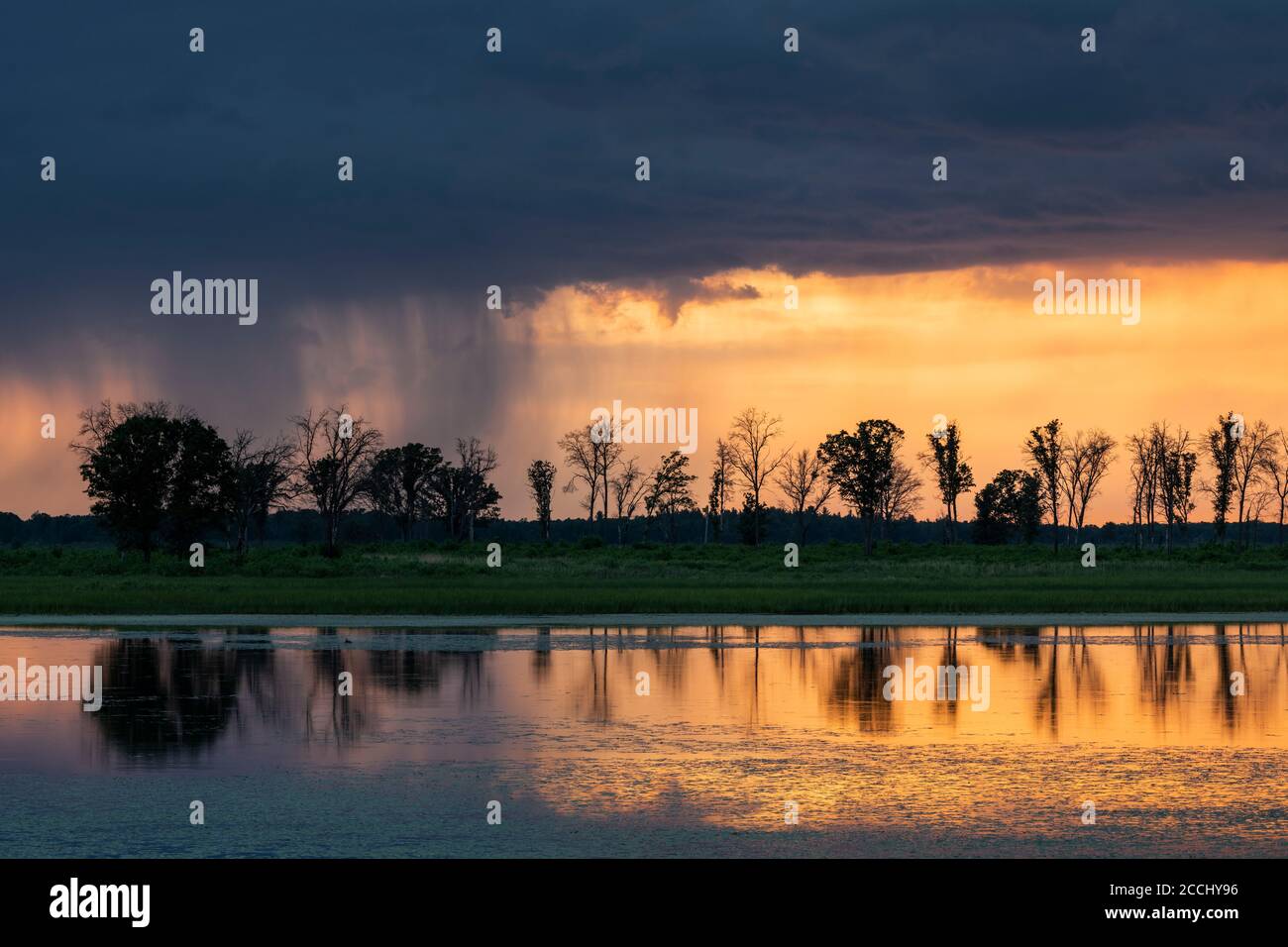 Approche des orages au-dessus des zones humides, au coucher du soleil, été, WI, Etats-Unis, par Dominique Braud/Dembinsky photo Assoc Banque D'Images