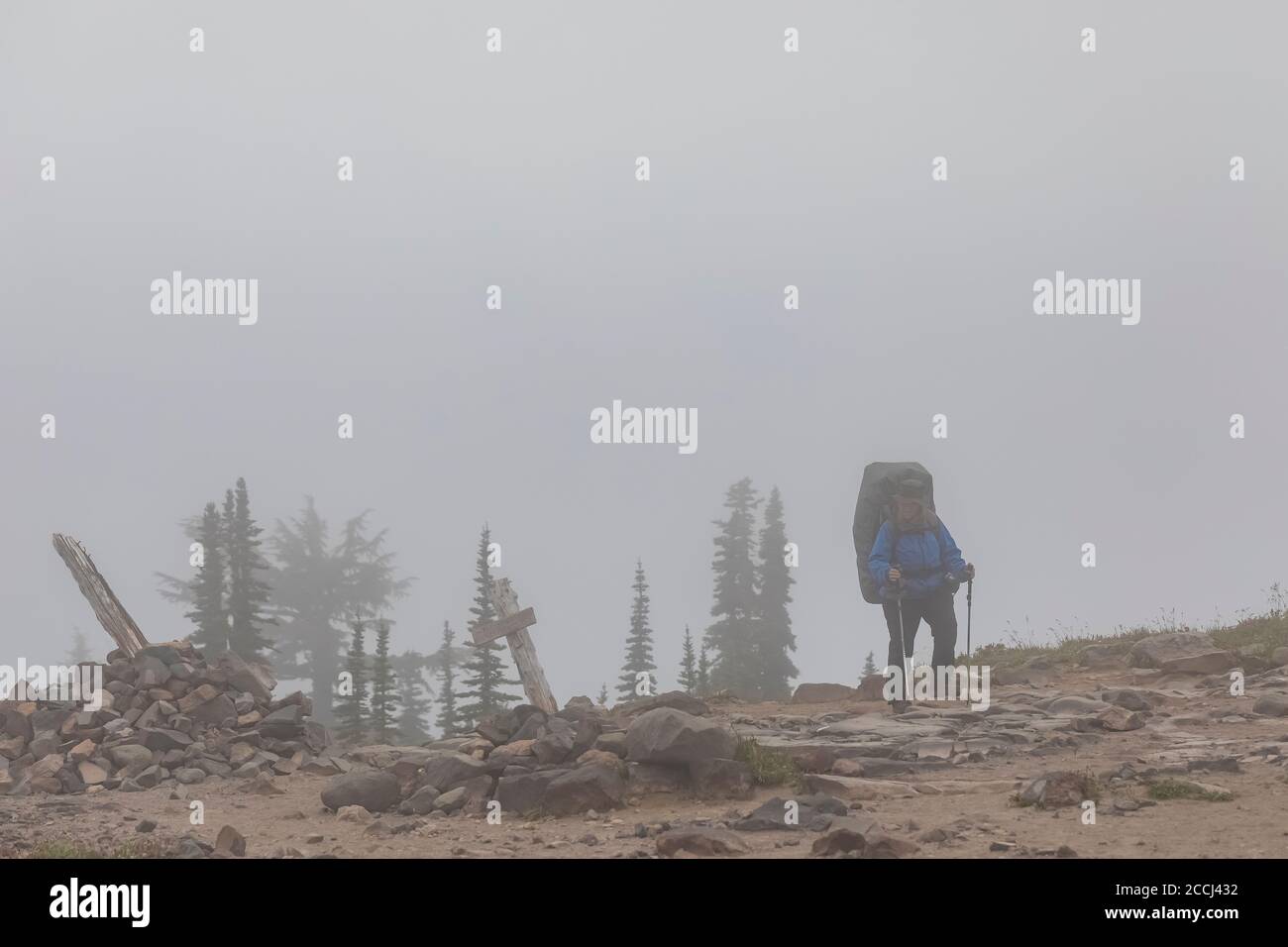 Karen Rentz randonnée sur le Pacific Crest Trail lors d'une journée de pluie légère dans la nature sauvage de Goat Rocks, dans la forêt nationale Gifford Pinchot, État de Washington, Banque D'Images