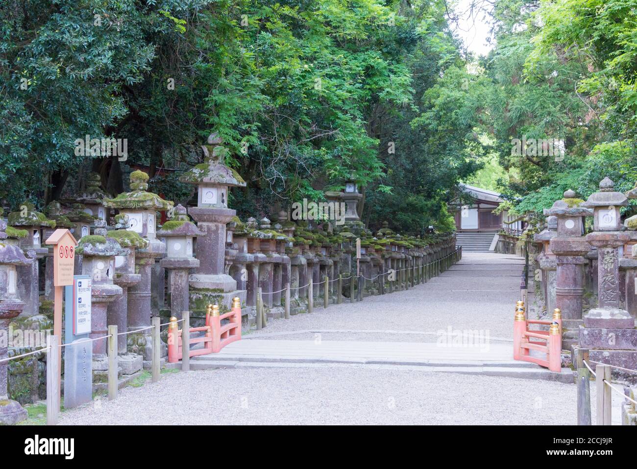 Nara, Japon - Temple Kasuga Taisha (Grand Sanctuaire Kasuga) à Nara, Japon. Il fait partie du site du patrimoine mondial de l'UNESCO. Banque D'Images