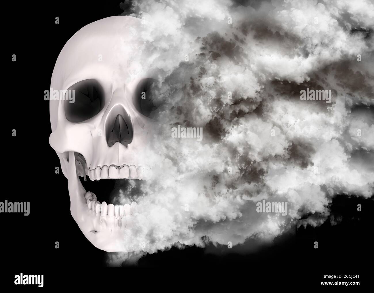 Crâne enveloppé dans les brouillards du temps - 3D Banque D'Images
