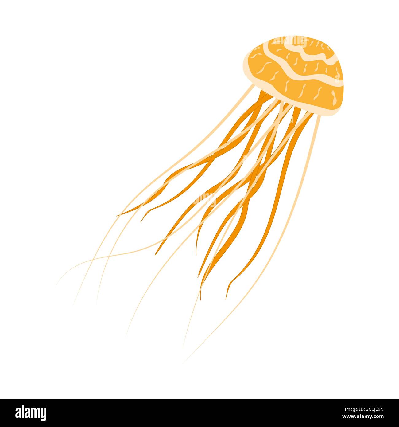 Méduses avec tentacules longs isolées sur blanc. Méduses jaunes avec un beau motif et des tentacules souples. Vecteur EPS10. Illustration de Vecteur