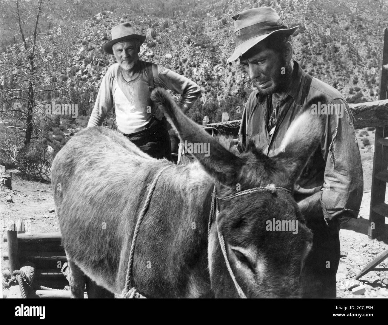 WALTER HUSTON et HUMPHREY BOGART dans LE TRÉSOR DE LA SIERRA MADRE 1948 réalisateur / scénario JOHN HUSTON roman B. Traven Warner Bros. Banque D'Images