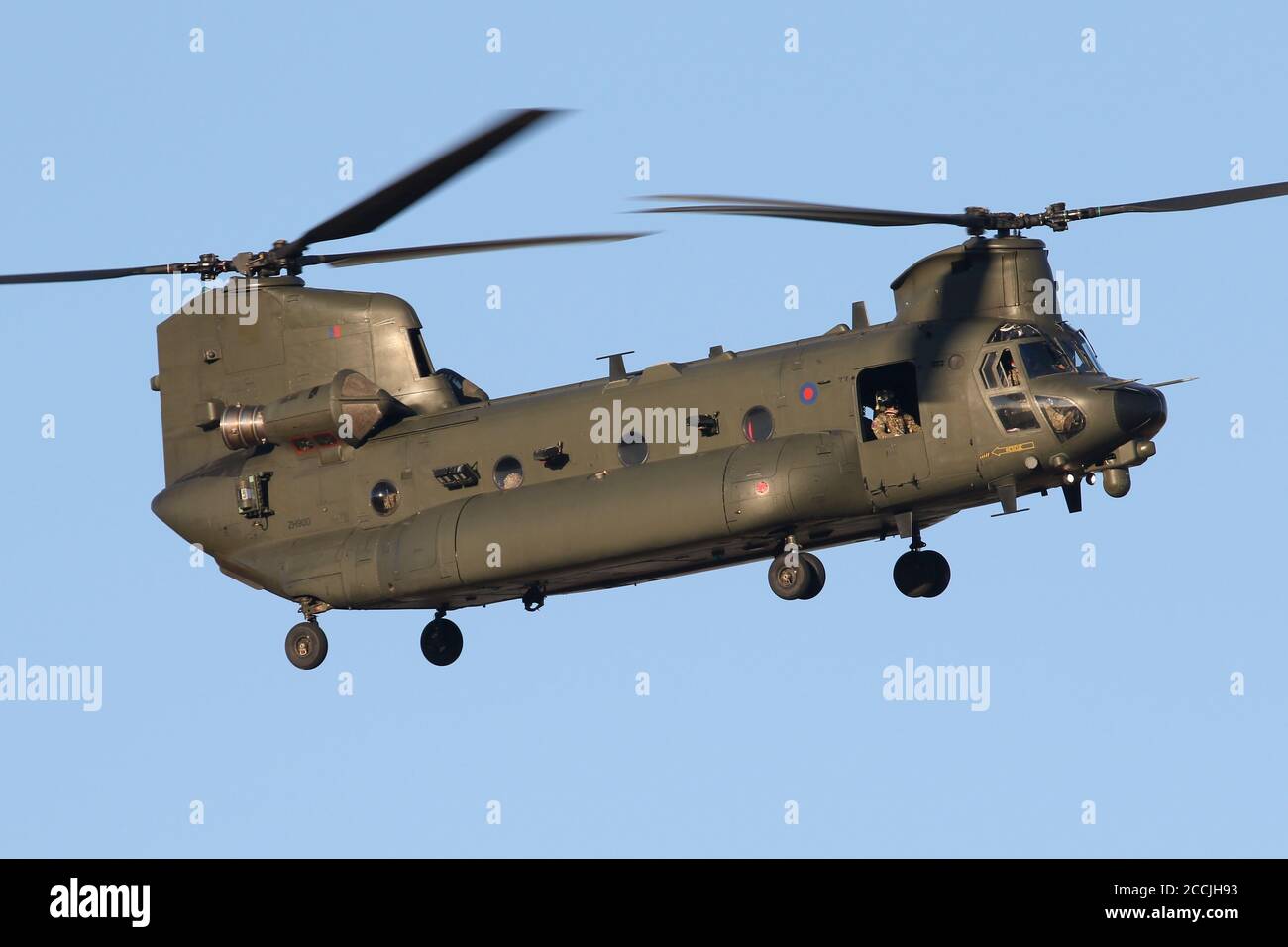 Hélicoptère de levage lourd RAF Chinook à l'approche de l'aérodrome de Wattisham. Banque D'Images