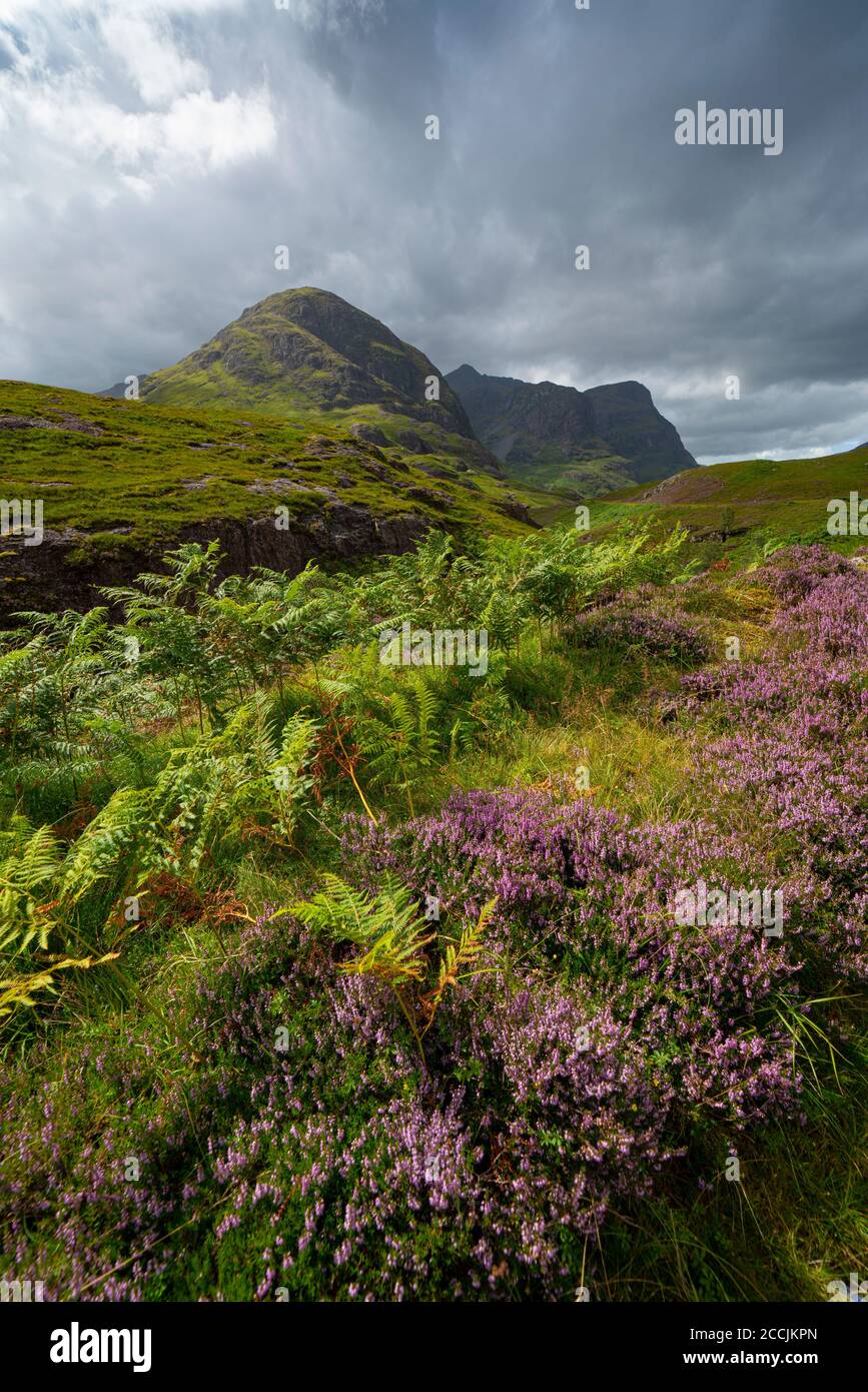 Vue de Beinn Fhada, une partie de Bidean Nam bian également connue sous le nom de Three Sisters of Glencoe, région des Highlands, Écosse, Royaume-Uni Banque D'Images
