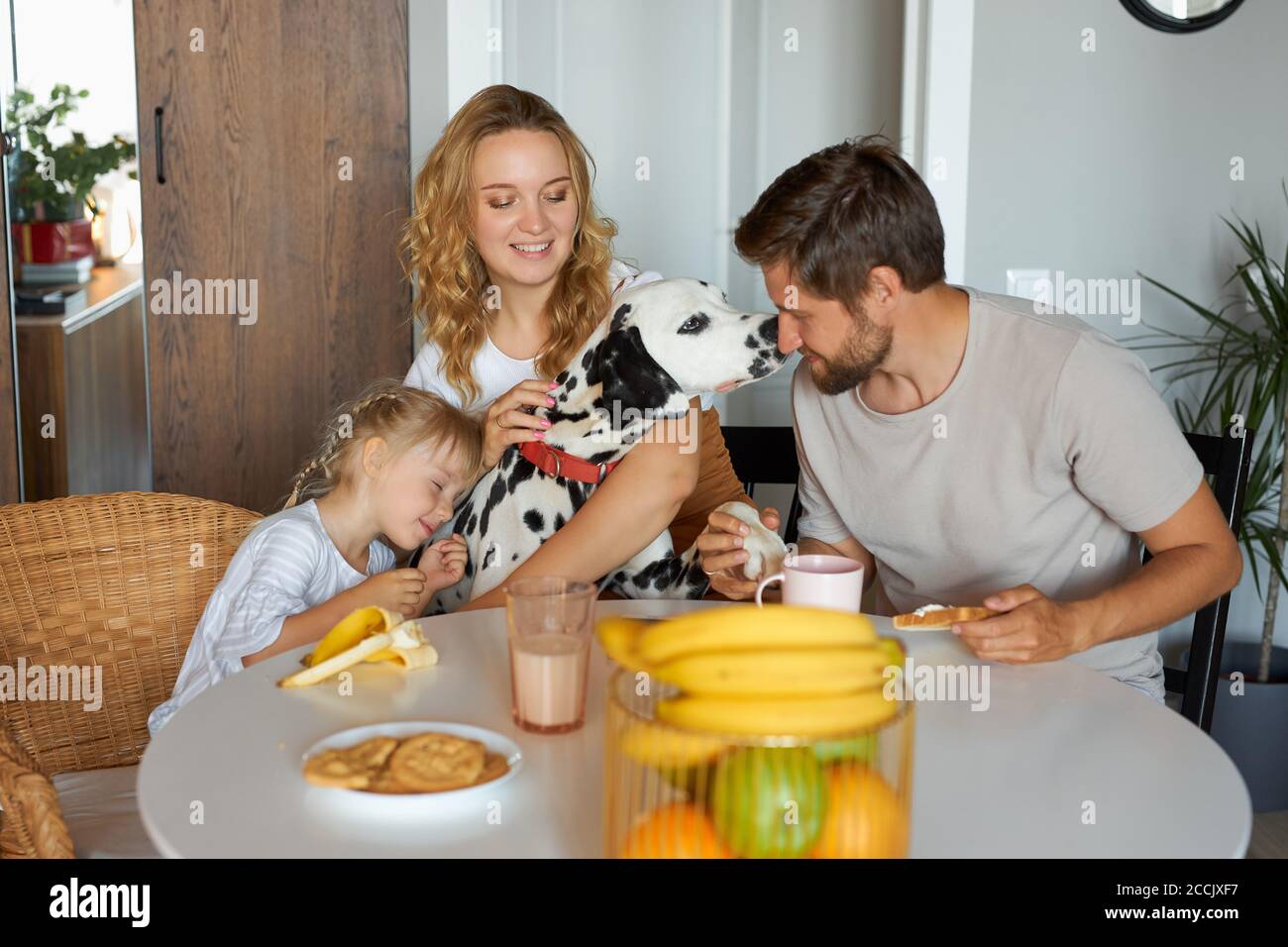 tous les matins de famille caucasienne heureuse, dans la cuisine. jeunes parents, fille d'enfant et adorable chien dalmatien à la maison, petit déjeuner Banque D'Images