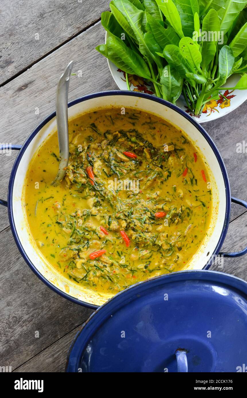 'Kaeng Kua Plalai' ou 'Thai Spicy Swamp Eel Curry' est un curry traditionnel fait maison Spicy qui est populaire dans la campagne de la Thaïlande. Banque D'Images