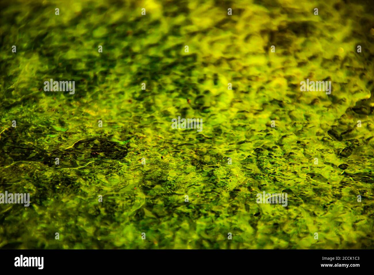 Fond de texture abstraite de couleur jaune avec textures de différentes nuances de jaune Banque D'Images