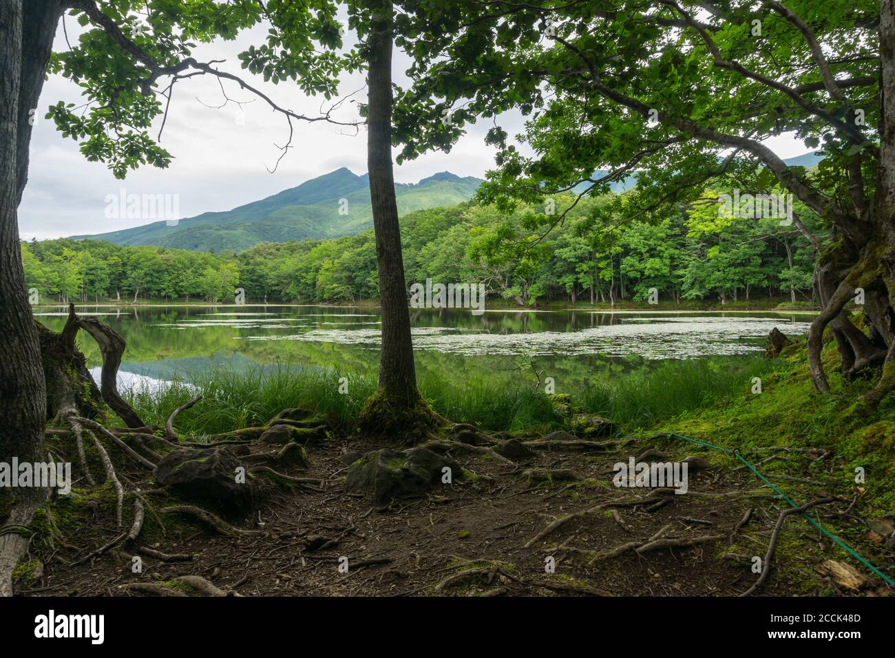 Vue sur les montagnes et les lacs du parc national des cinq lacs de Shiretoko 知床五湖 à Hokkaido, Japon. Photo prise en été. Banque D'Images
