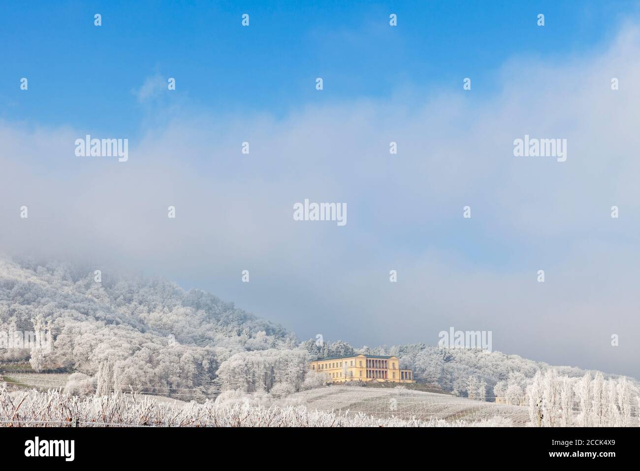 Allemagne, Rhénanie-Palatinat, Rhodt unter Rietburg, Villa Ludwigshohe entourée d'arbres couverts de gel en hiver Banque D'Images