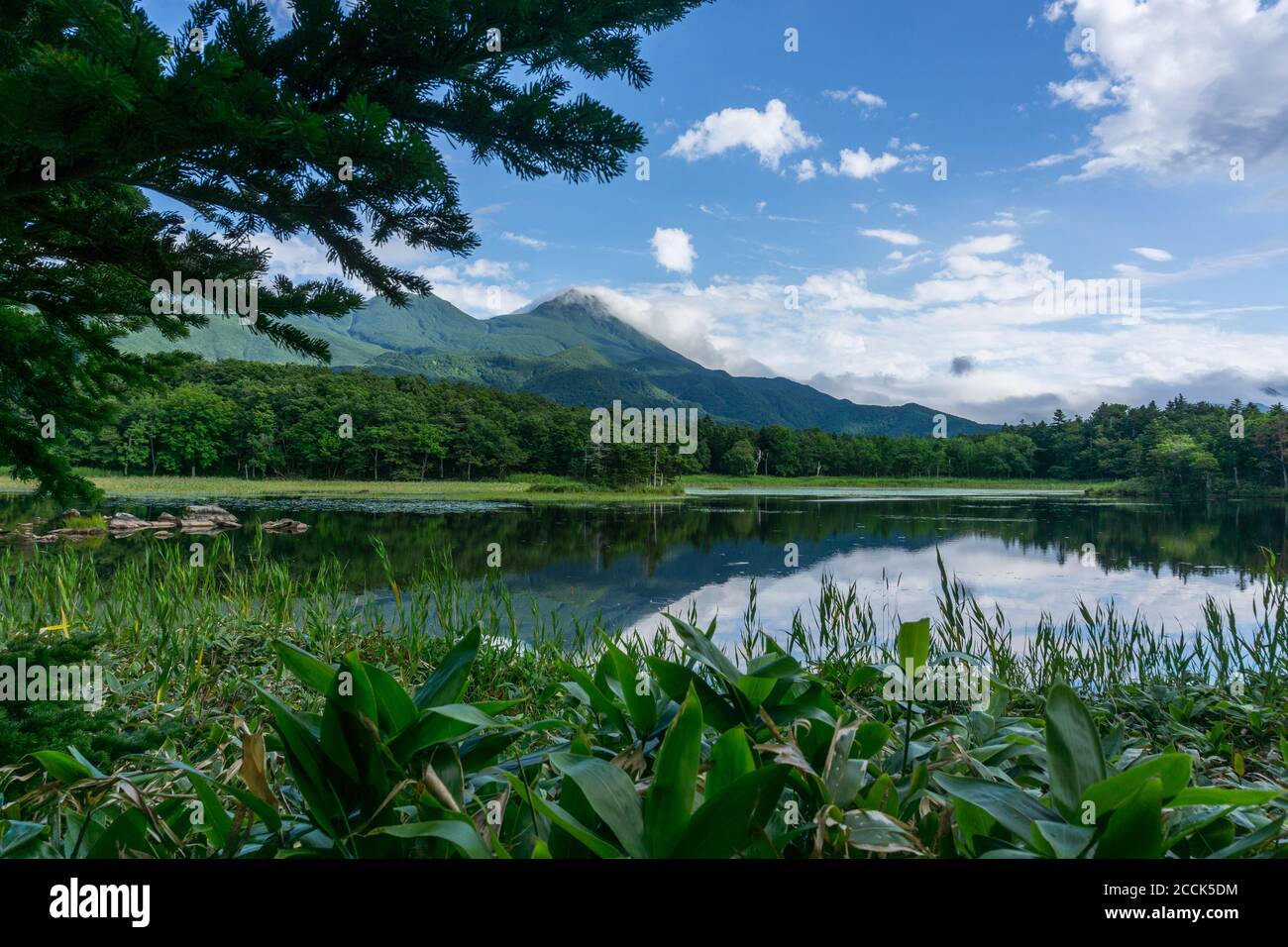 Vue sur les montagnes et les lacs du parc national des cinq lacs de Shiretoko 知床五湖 à Hokkaido, Japon. Photo prise en été. Banque D'Images