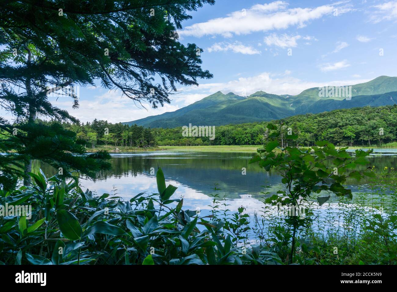 Vue sur les montagnes et les lacs du parc national des cinq lacs de Shiretoko 知床五湖 à Hokkaido, Japon. Photo prise en été. Banque D'Images