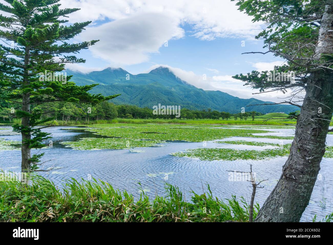 Vue sur les montagnes et les lacs du parc national des cinq lacs de Shiretoko 知床五湖 à Hokkaido, Japon. Photo prise en été. Banque D'Images