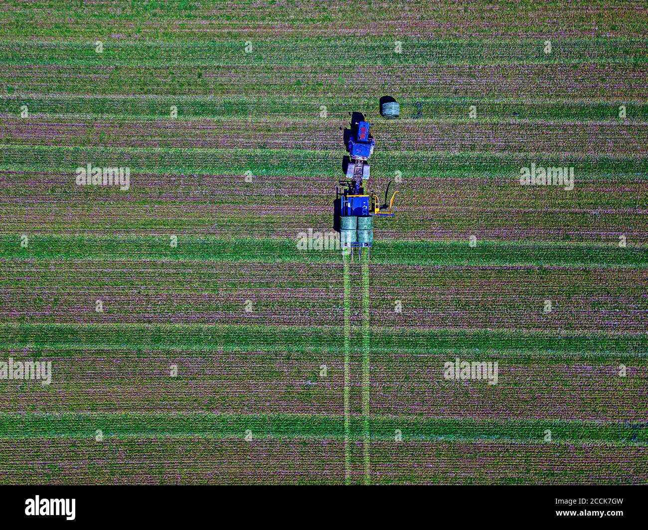 Vue aérienne du tracteur ramassant les balles de foin dans le champ Banque D'Images