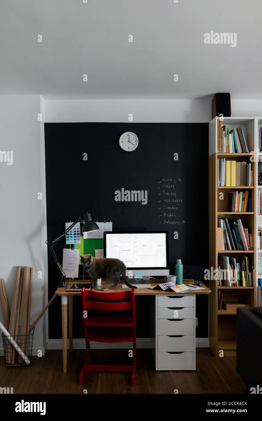 Chat sur la table d'ordinateur contre le mur au bureau à domicile Banque D'Images