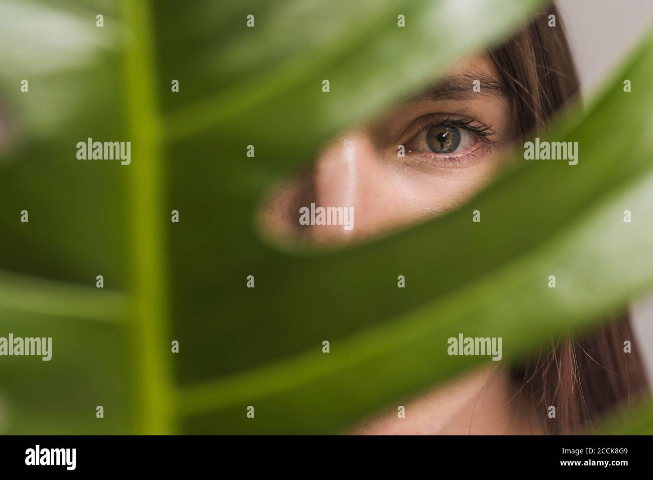 Gros plan d'une femme avec un œil gris regardant à travers la plante Banque D'Images