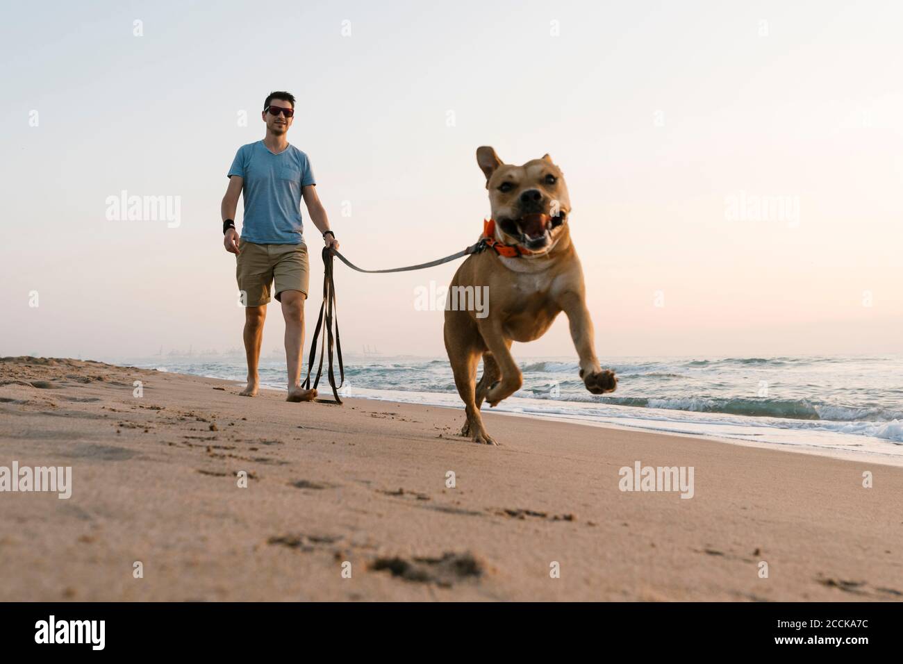 Homme avec son chien courant à la plage à l'aube Banque D'Images