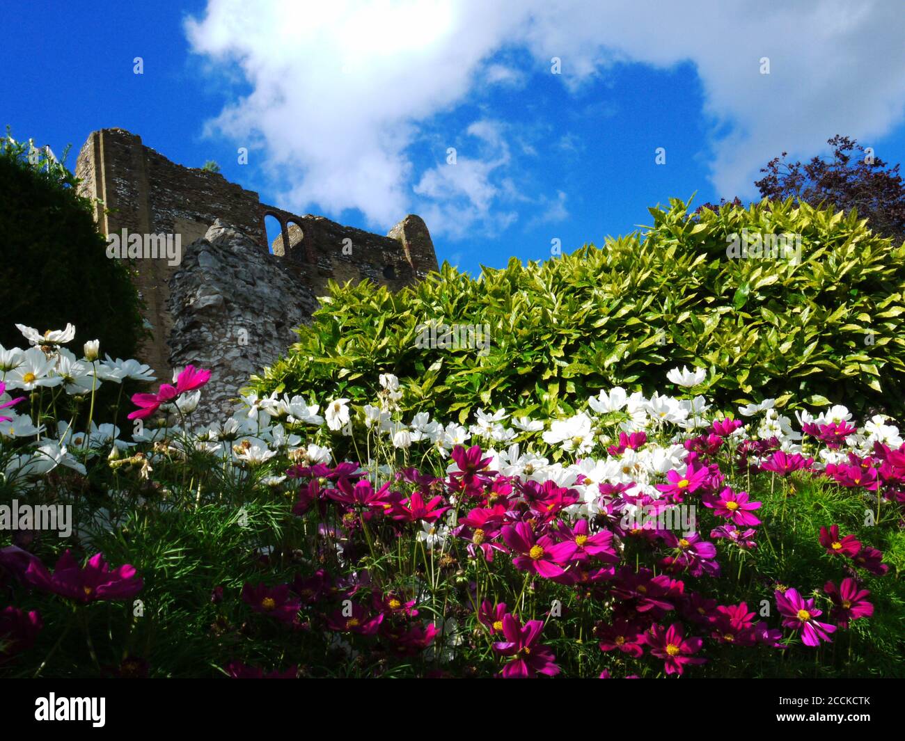 Château de Guildford, Guildford, Surrey, Royaume-Uni Banque D'Images