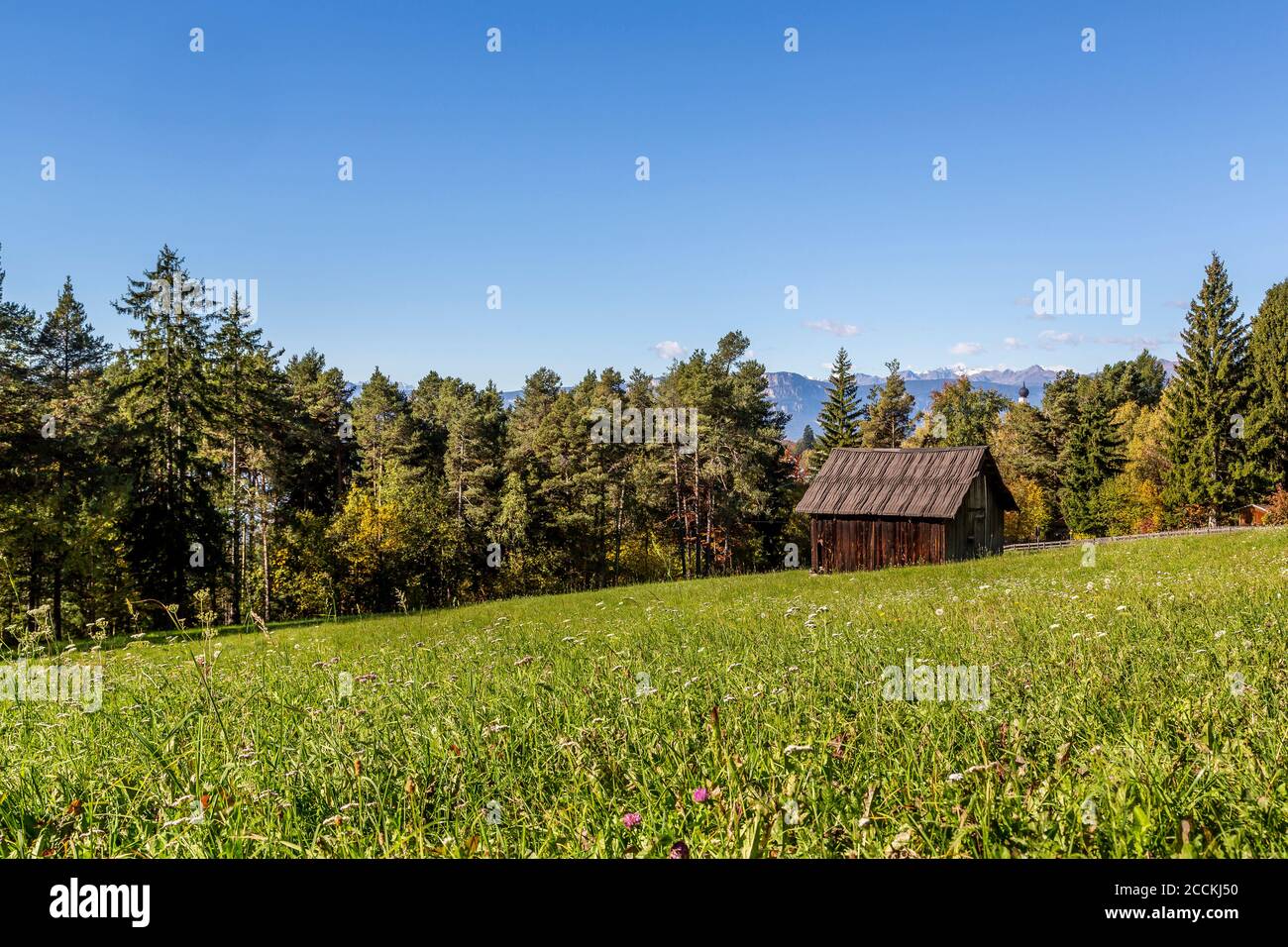 Italie, Ritten, immeuble en bois dans un champ herbacé Banque D'Images