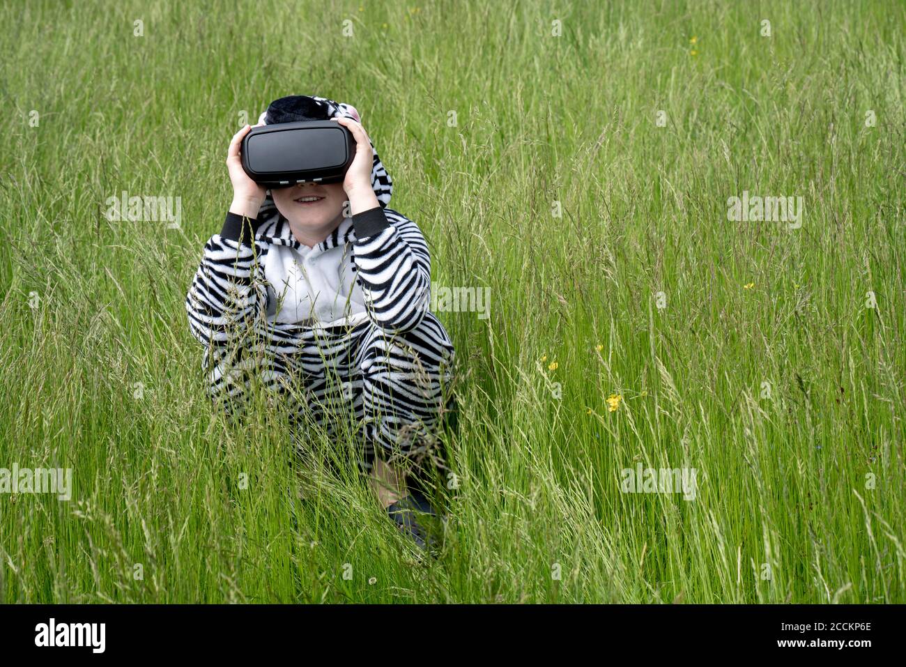 Garçon portant un costume de zèbre à l'aide d'un simulateur VR au milieu de l'herbe Banque D'Images