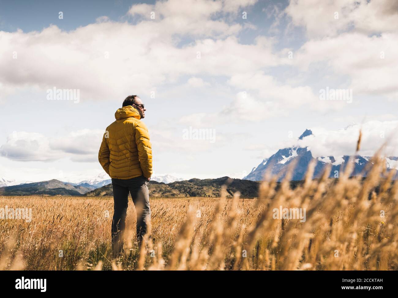 Homme debout sur un terrain herbeux au parc national Torres Del Paine, Chili, Patagonie, Amérique du Sud Banque D'Images