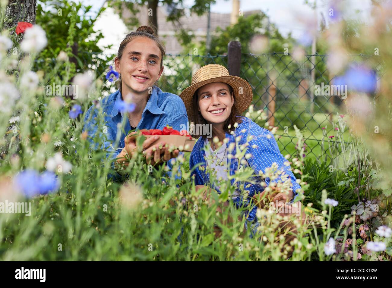 Jeune femme tenant des fraises tout en travaillant avec un ami dans le jardin Banque D'Images