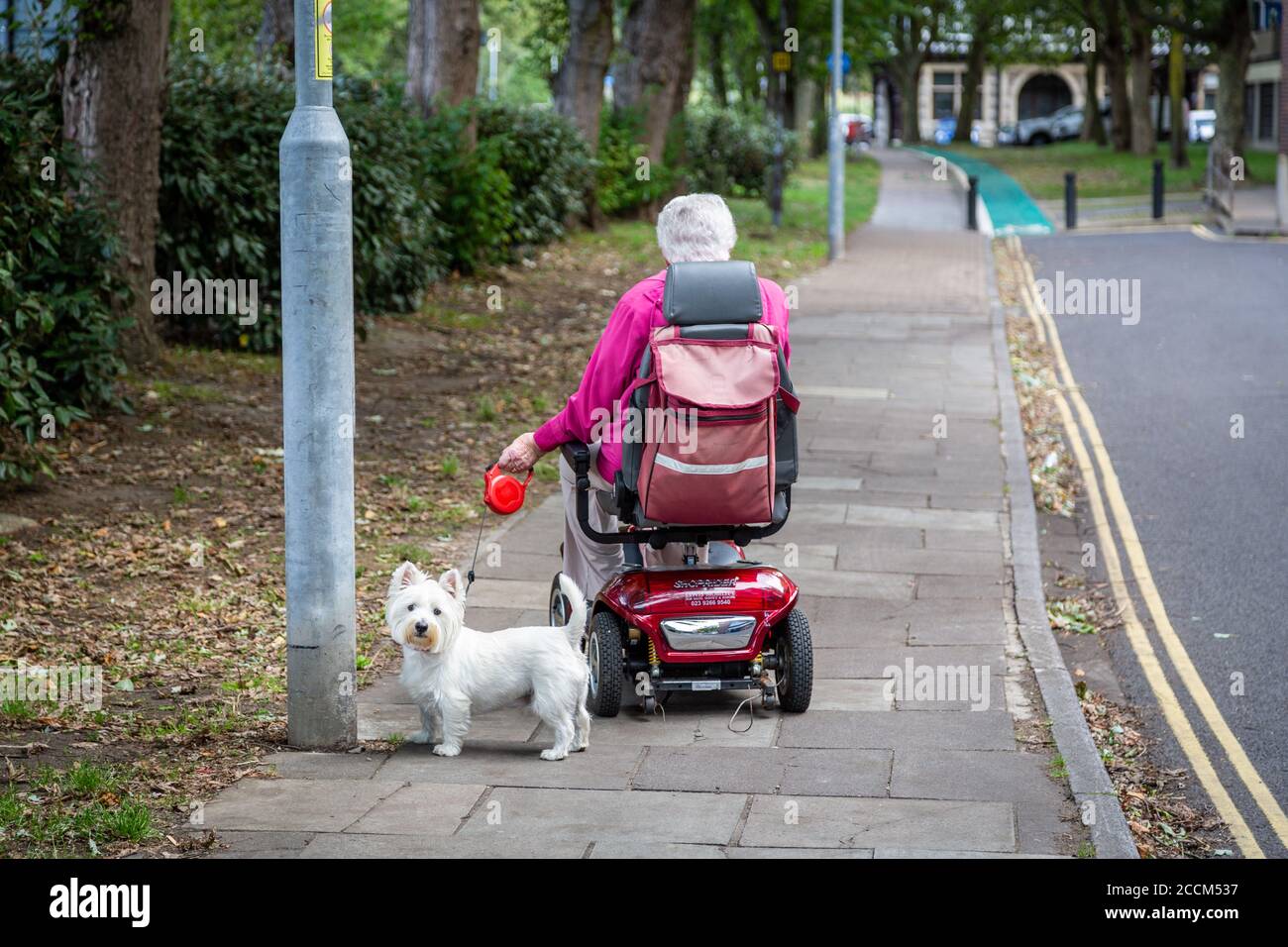 Une femme âgée dans un scooter de mobilité marchant son chien sur une dérivation Banque D'Images