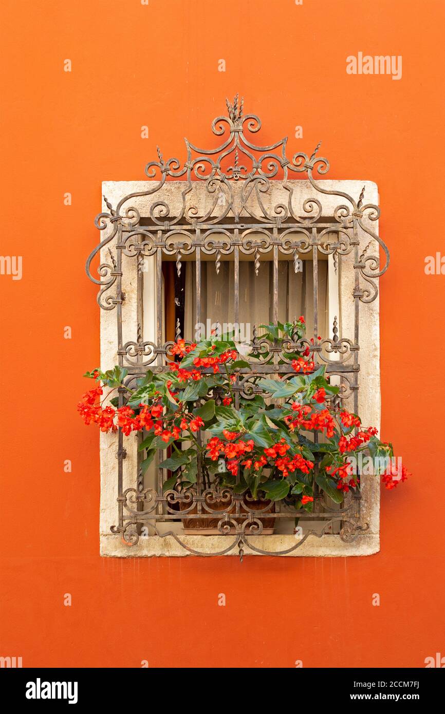 Fenêtre avec fleurs dans la vieille ville, Motovun, Istrie, Croatie Banque D'Images