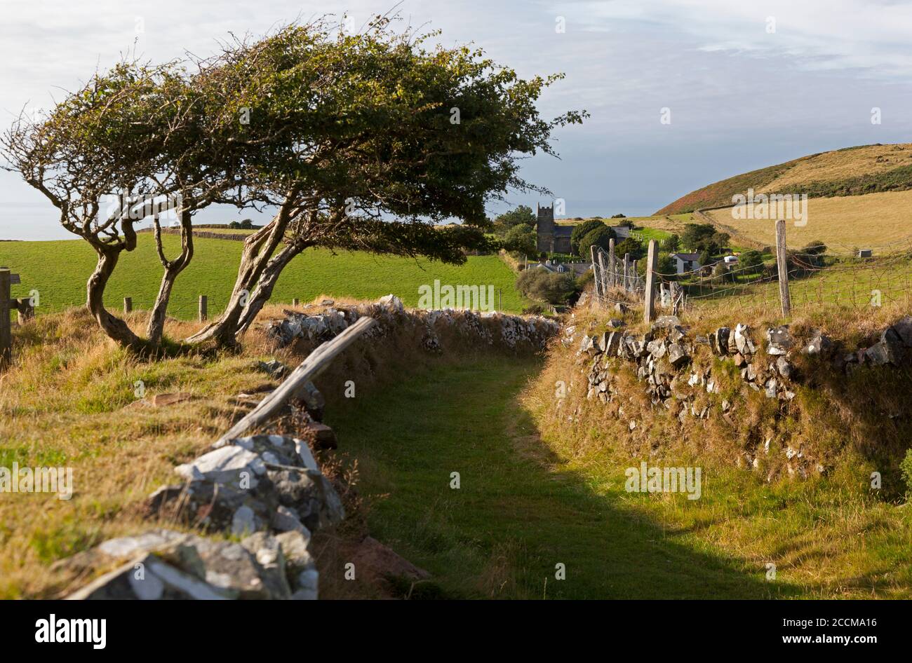 Ancien sentier de randonnée vers l'église Saint-Jean-l'évangéliste, Countisbury à North Devon sur le sentier de la côte sud-ouest Banque D'Images