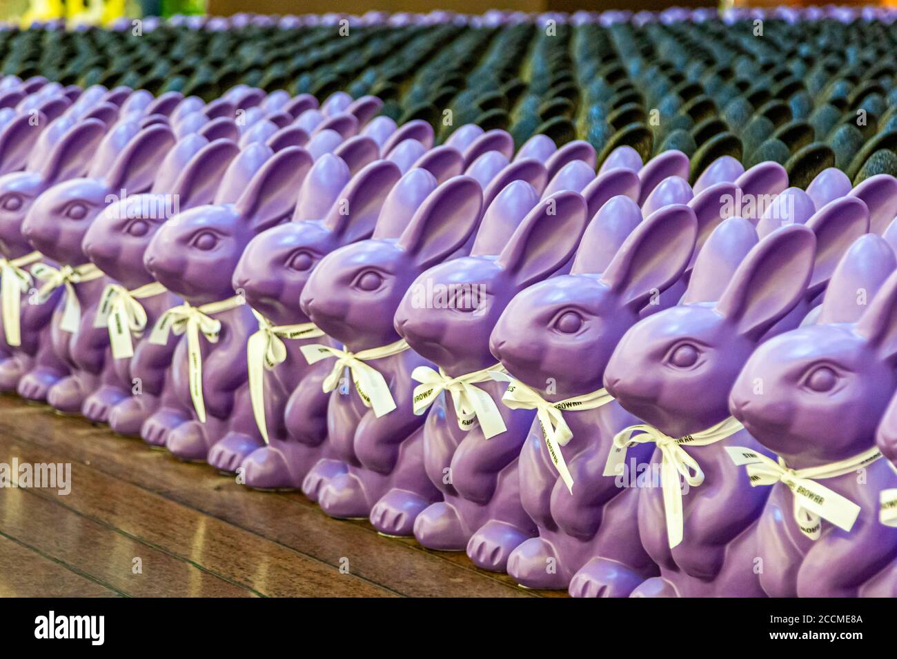 Des rangées de figurines de lapin violettes avec des rubans portant l'inscription « Stary Browar » se tiennent à l'exposition du lapin de Pâques dans le centre commercial du même nom à Poznań, en Pologne, avec des rangées denses de petites figurines de lapin sombres derrière elles. Banque D'Images