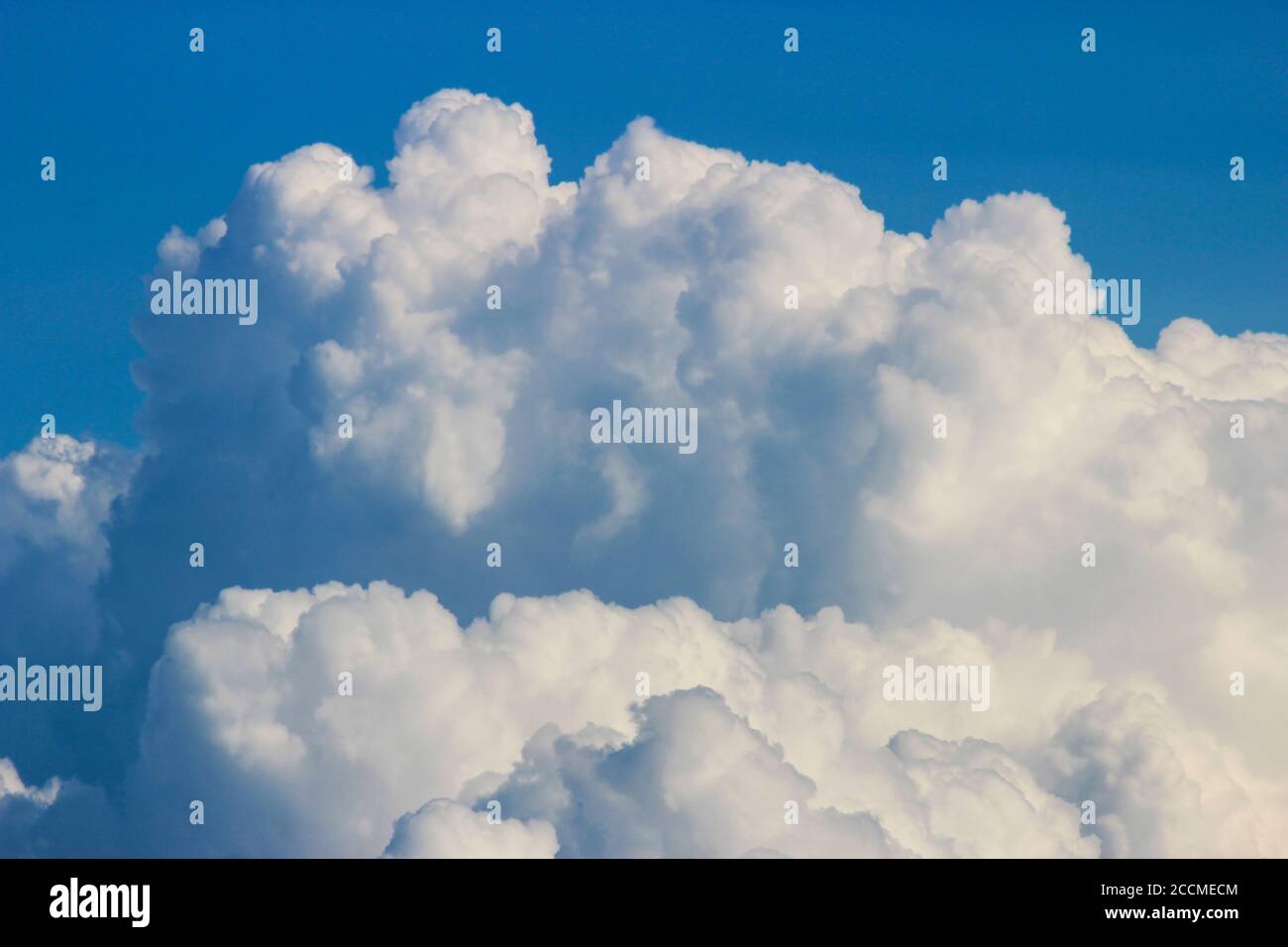Cumulus blancs sur fond bleu Banque D'Images
