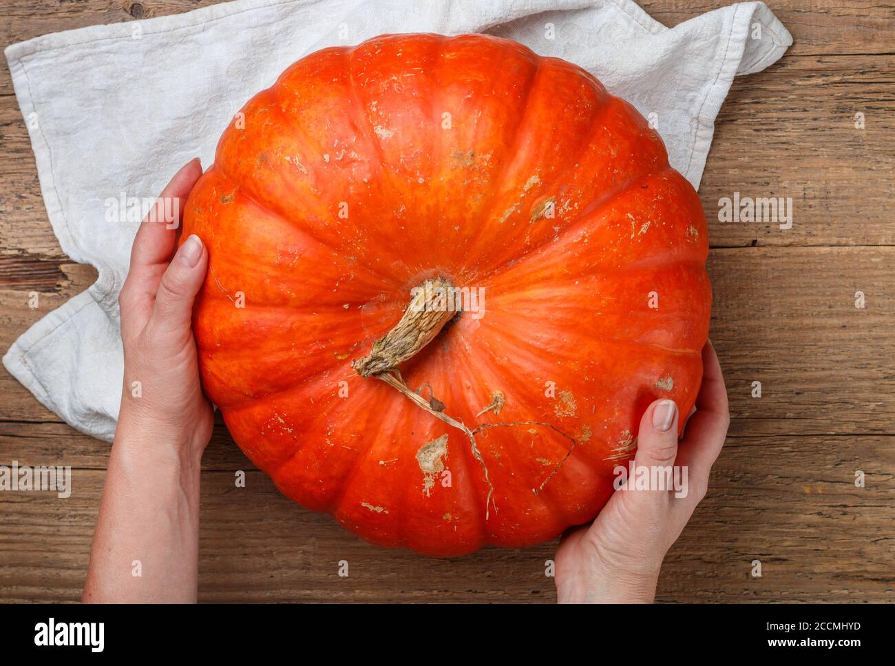 Femme tenant une grande citrouille biologique entière. Légumes sains et savoureux. Récolte du jardin. Symbole de Thanksgiving et Halloween. Foc sélectif Banque D'Images