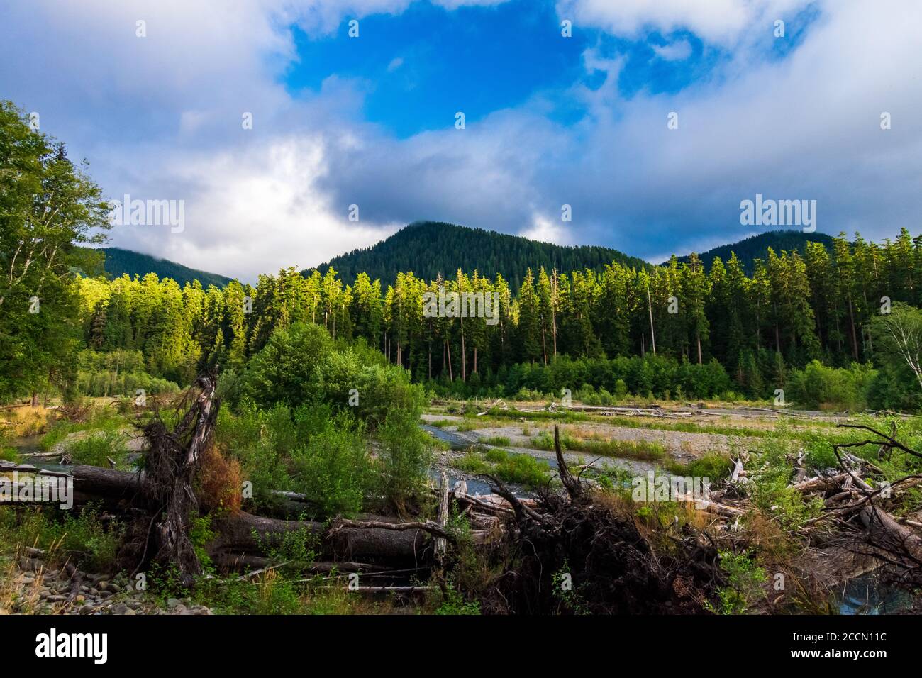 Des nuages bas brossent les montagnes entourant la rivière Hoh La forêt tropicale de Hoh dans le parc national olympique Banque D'Images