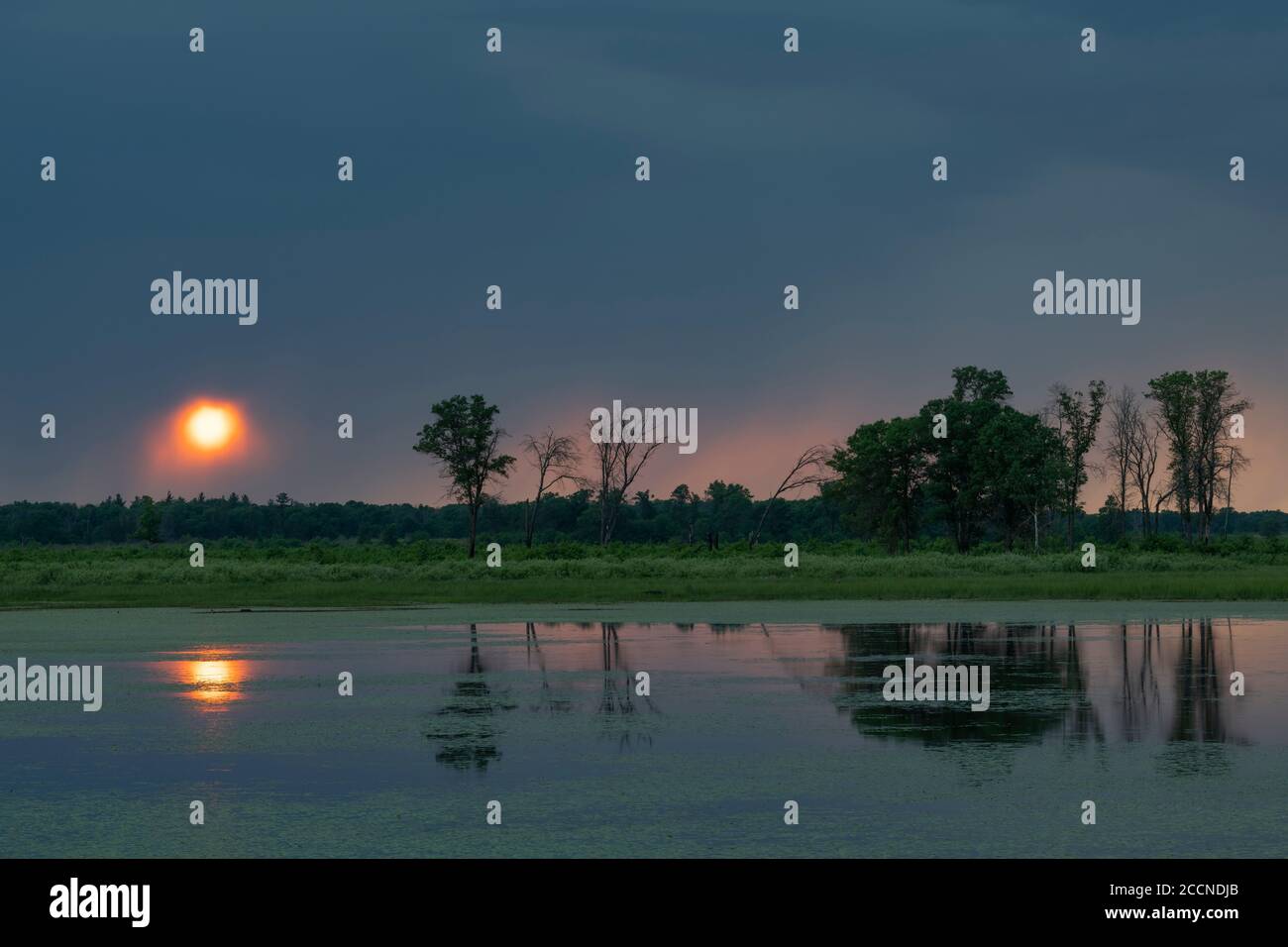 Approche des orages au-dessus des zones humides, au coucher du soleil, été, WI, Etats-Unis, par Dominique Braud/Dembinsky photo Assoc Banque D'Images