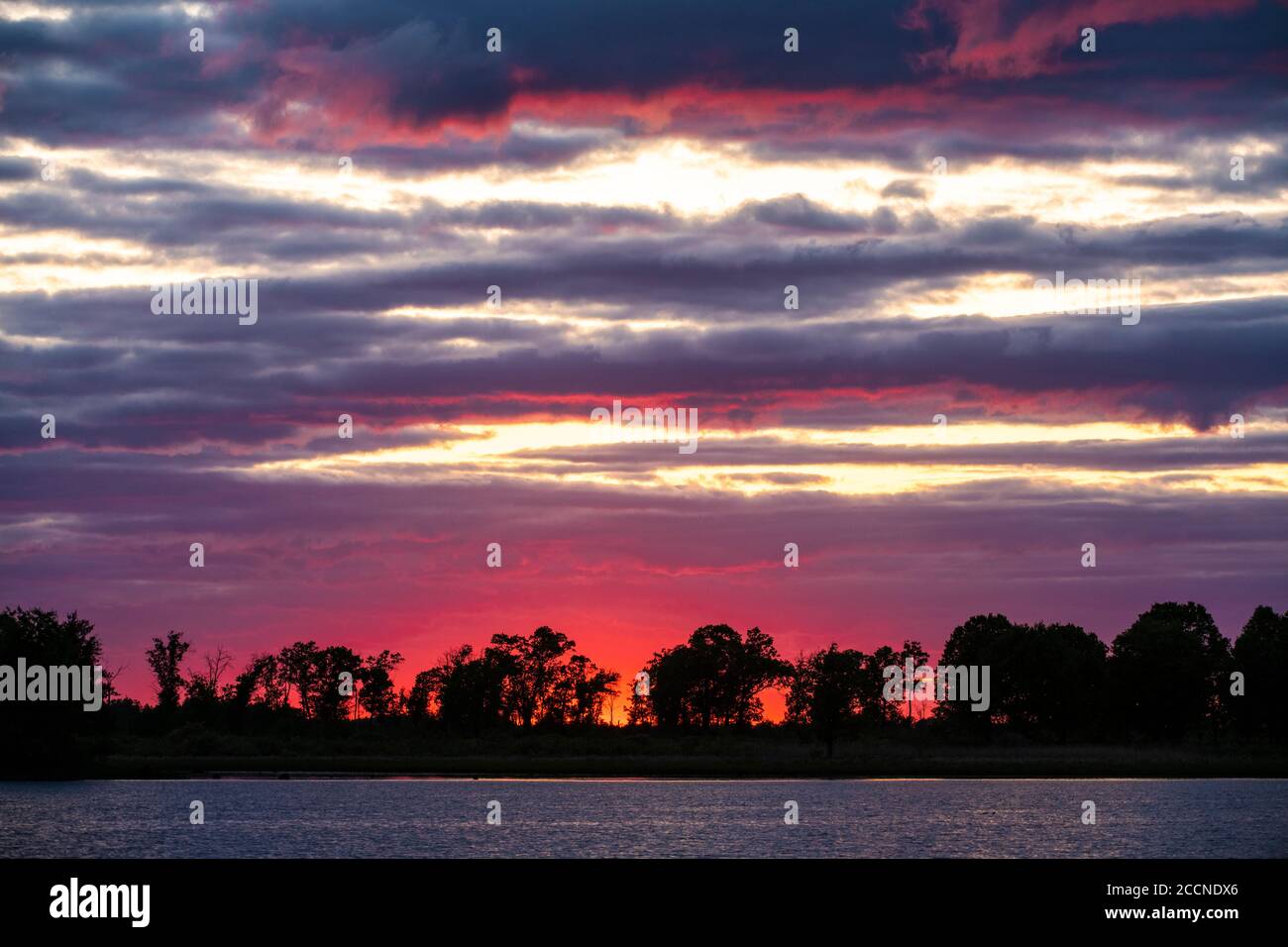 Lever de soleil au-dessus du lac Phantom, début de l'été, Crex Meadows WMA, WI, États-Unis, par Dominique Braud/Dembinsky photo Assoc Banque D'Images