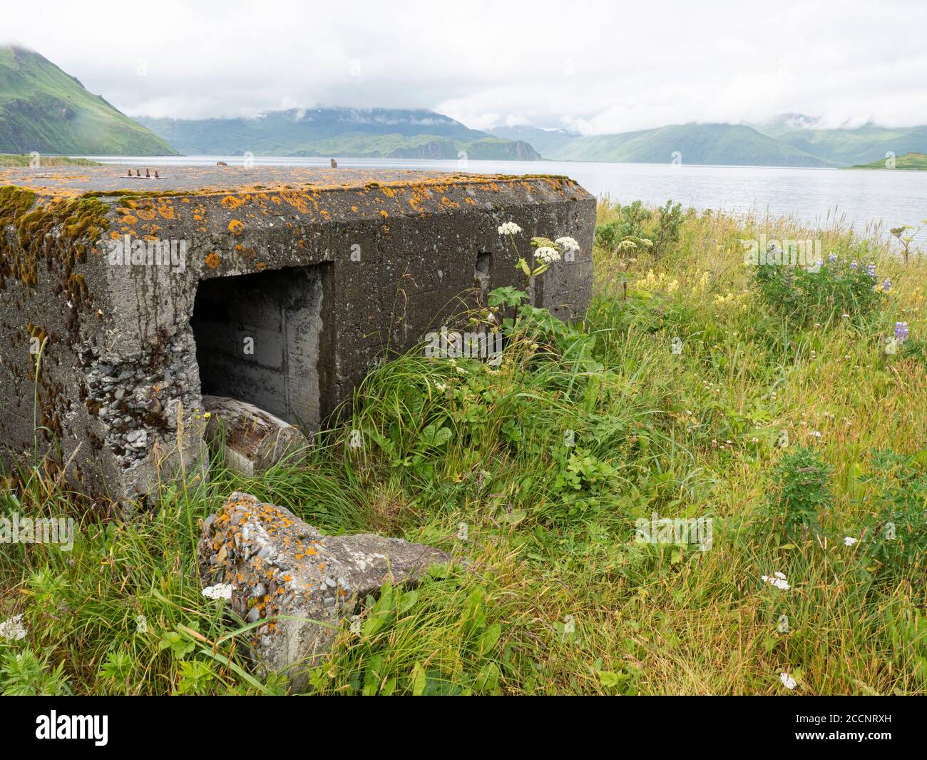 Vestiges de bunkers de la Seconde Guerre mondiale dans le port hollandais dans la communauté d'Unalaska, en Alaska. Banque D'Images