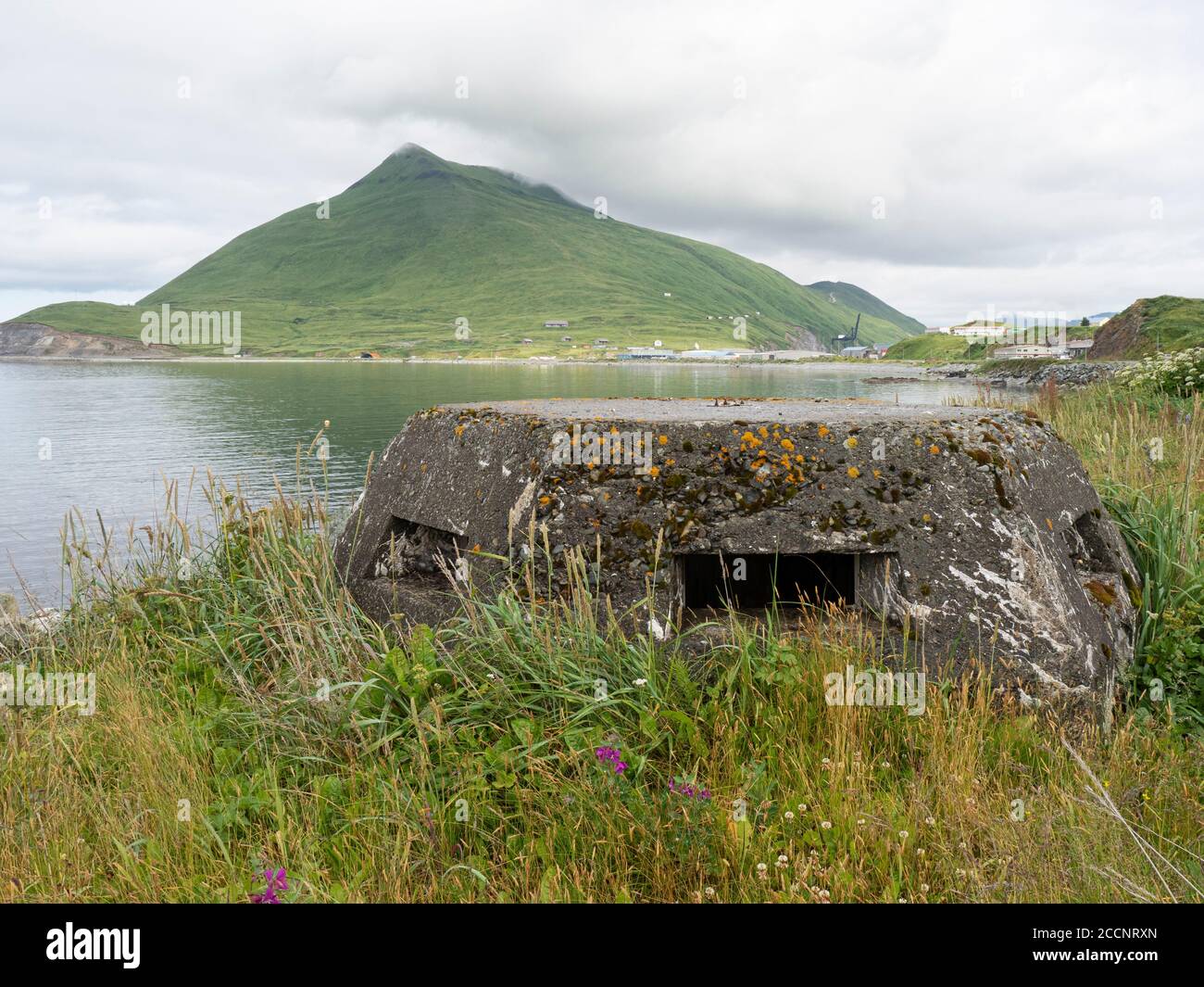 Vestiges de bunkers de la Seconde Guerre mondiale dans le port hollandais dans la communauté d'Unalaska, en Alaska. Banque D'Images
