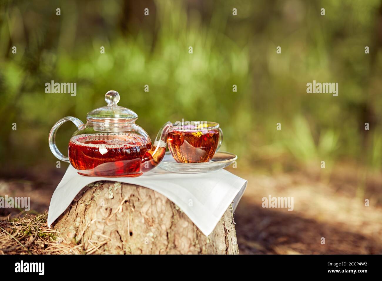 Une femme verse le thé d'une théière en verre dans une tasse en verre. Thé en plein air. Gros plan d'une coupe et d'une théière dans la nature en forêt Banque D'Images