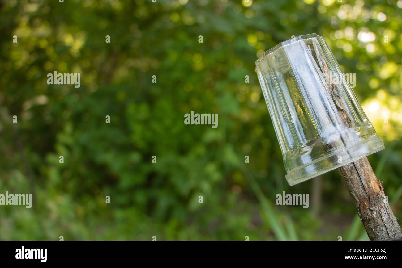 Verre suspendu sur une branche dans le jardin. Banque D'Images