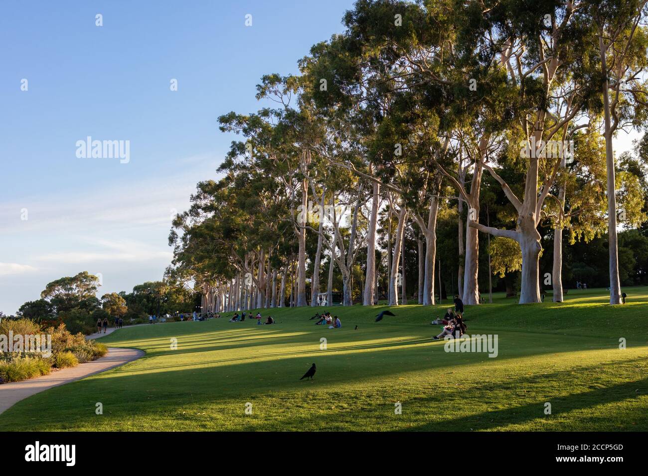 Soirée au parc avec famille et amis. Les personnes qui ont pique-nique et se reposent. Kings Park et jardins botaniques, Perth, Australie occidentale, Australie Banque D'Images
