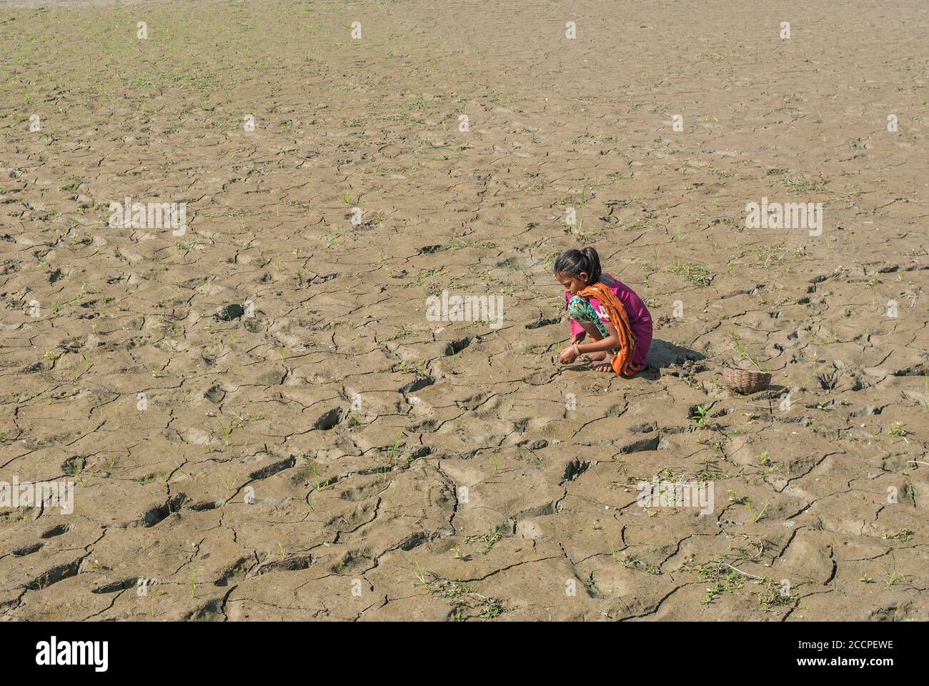 Village Girl à Khulna, Bangladesh. Banque D'Images