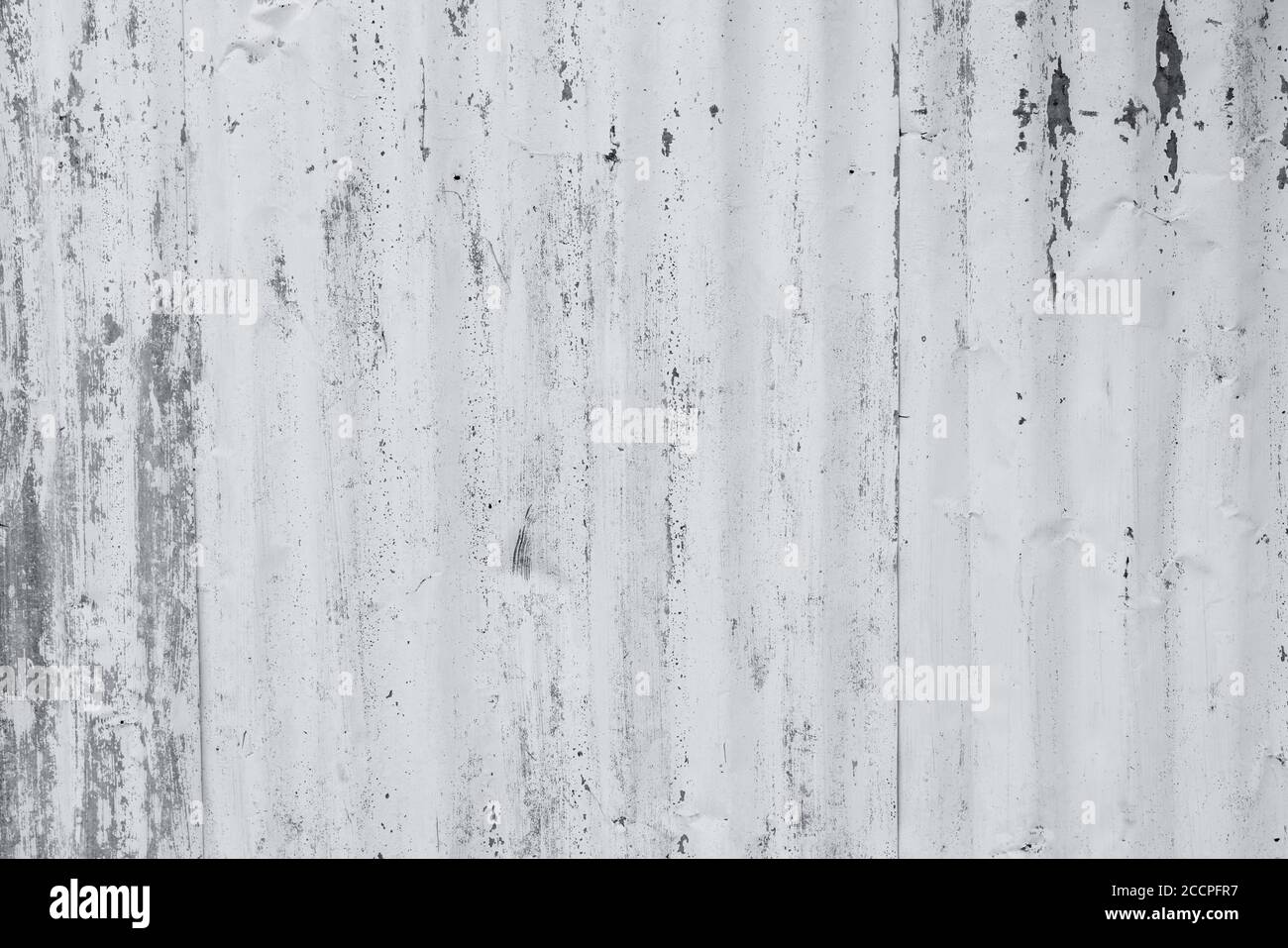 Feuille galvanisée peinte en blanc. Fond blanc de texture de paroi vide. Peinture écaillée sur le mur blanc. Feuille galvanisée grise déformée à rayures. Banque D'Images