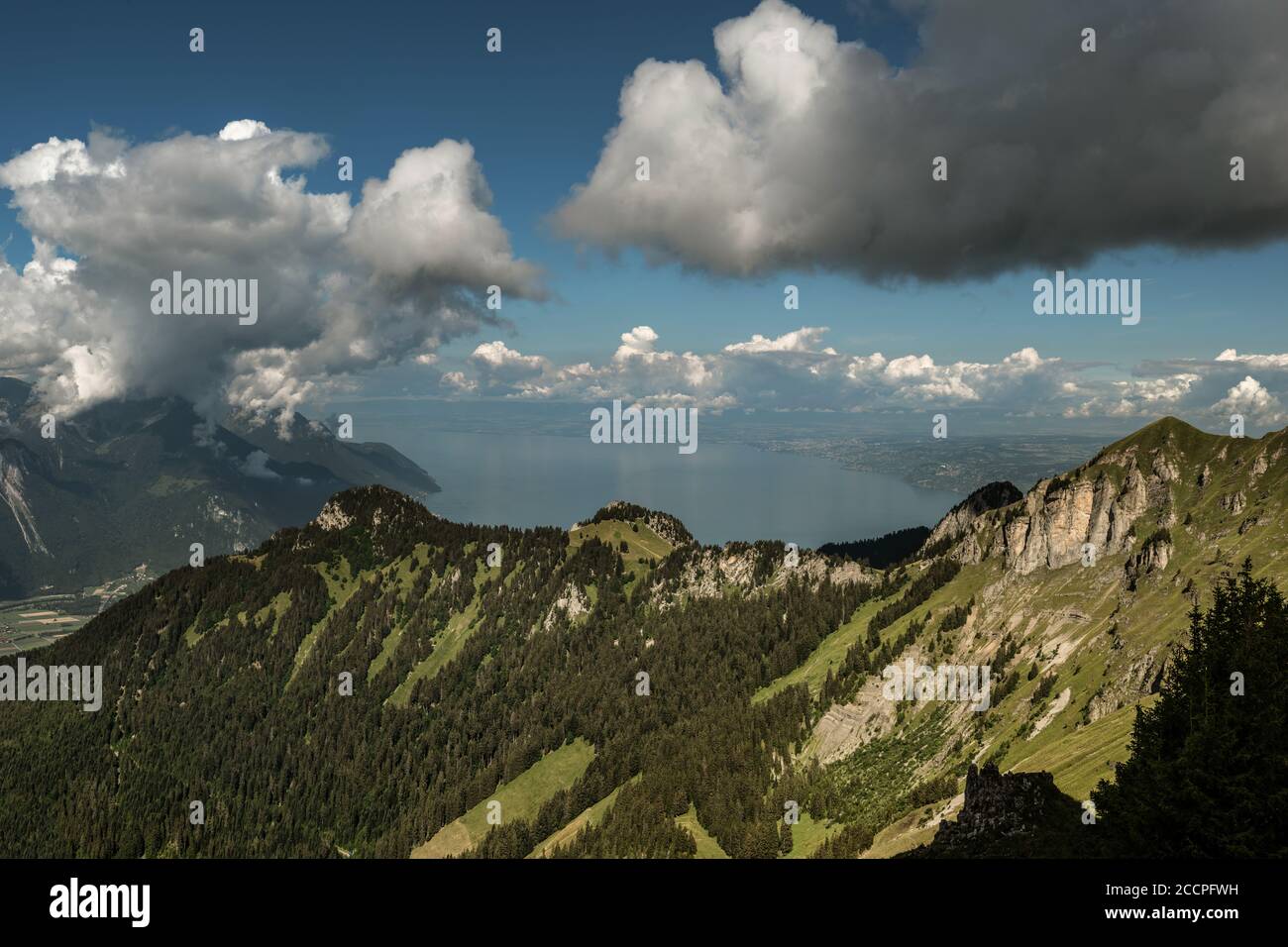 Vue sur le lac du Leman depuis la montagne Berneuse, Suisse Banque D'Images