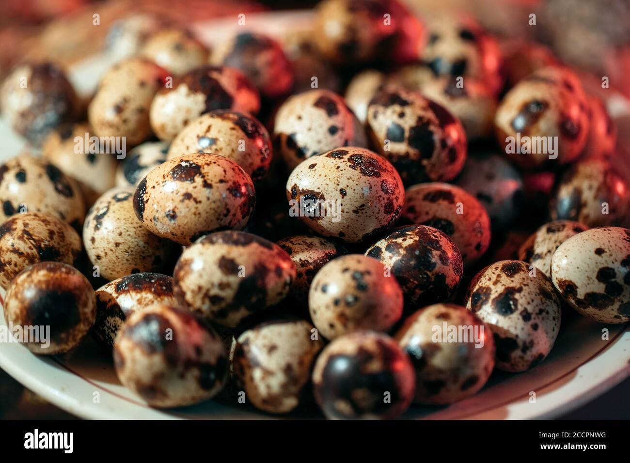 Faire des œufs de caille dans une assiette sur le fond des cailles. Banque D'Images