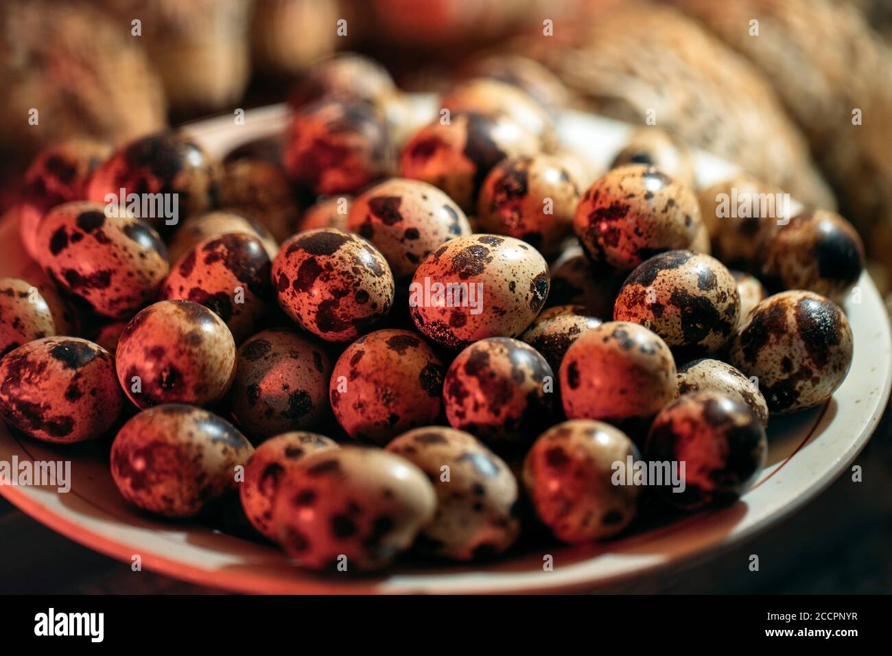 Faire des œufs de caille dans une assiette sur le fond des cailles. Banque D'Images