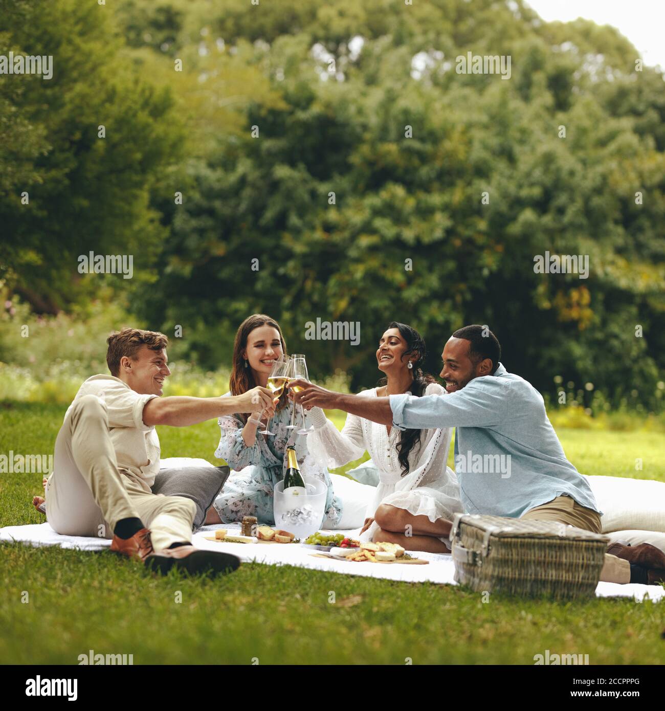 Les jeunes toaster le champagne pendant un pique-nique. Jeune groupe d'amis assis au parc et ayant du champagne. Banque D'Images