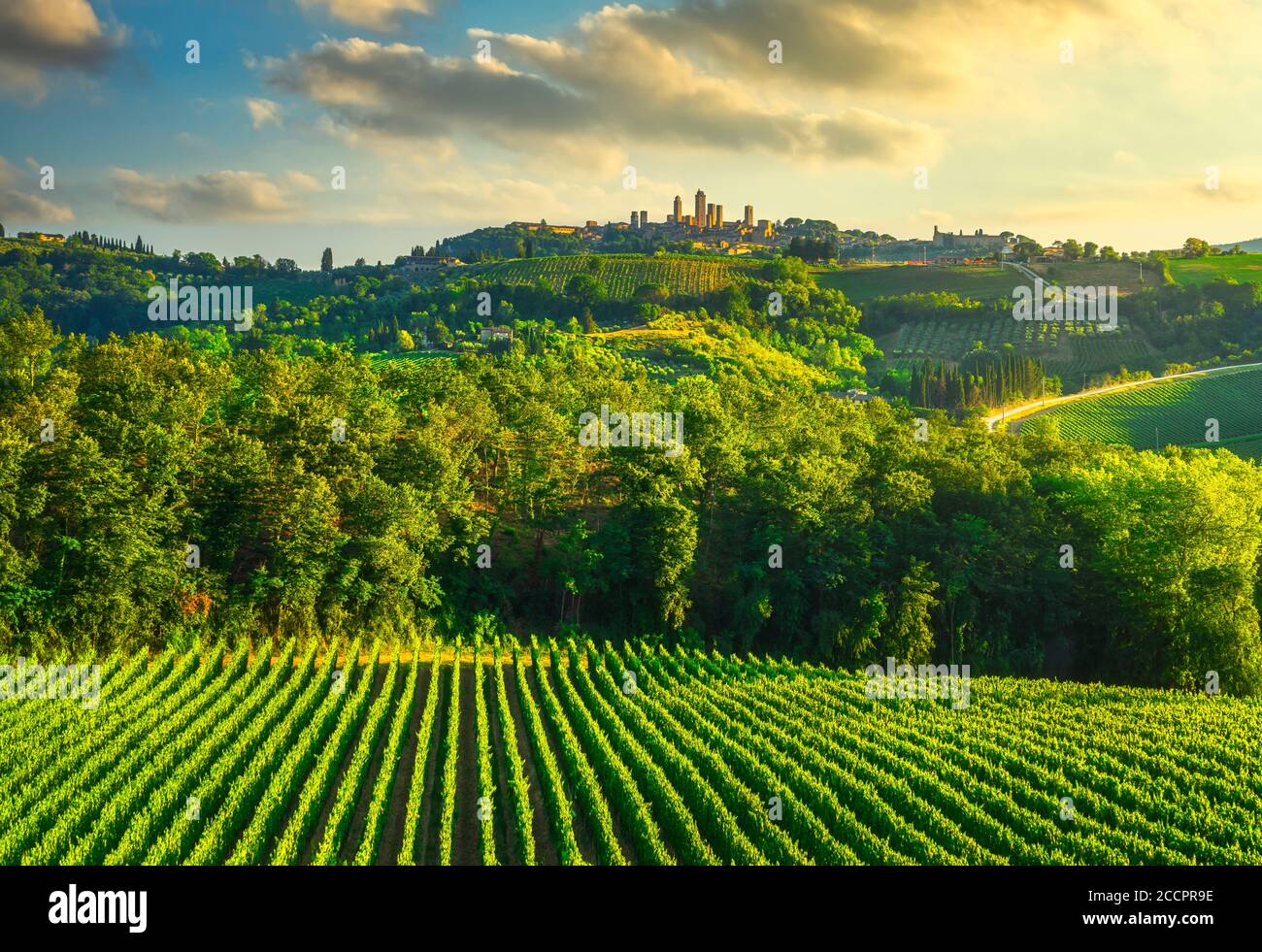 La ville médiévale de San Gimignano surplombe les gratte-ciel et les vignobles, la campagne, le paysage est panoramique au coucher du soleil. Toscane, Italie, Europe. Banque D'Images