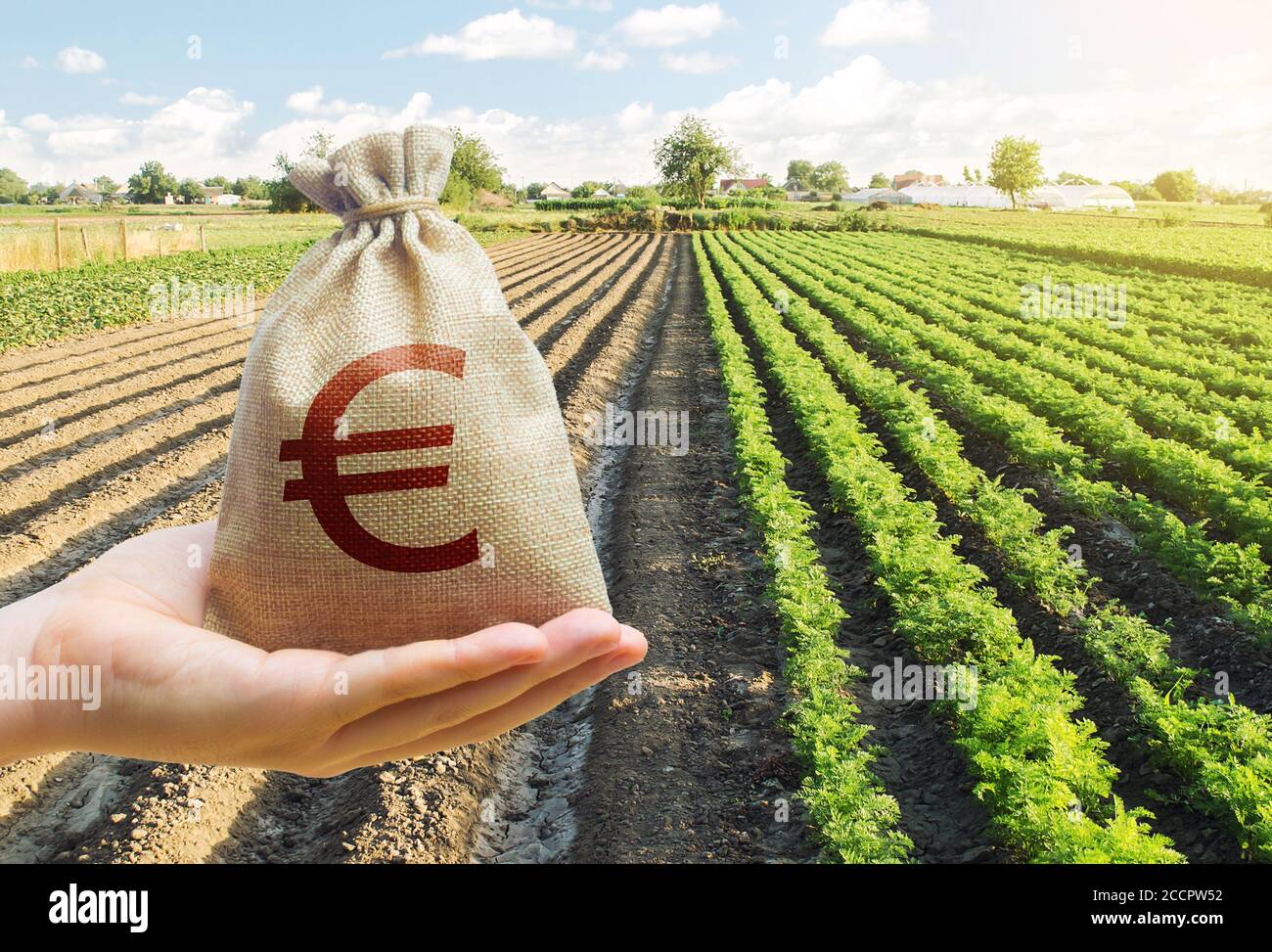 Main tient un sac d'euro y sur un fond d'une plantation de carottes. Soutien et subventions. Prêter des agriculteurs pour acheter des terres et des semences, moderne Banque D'Images