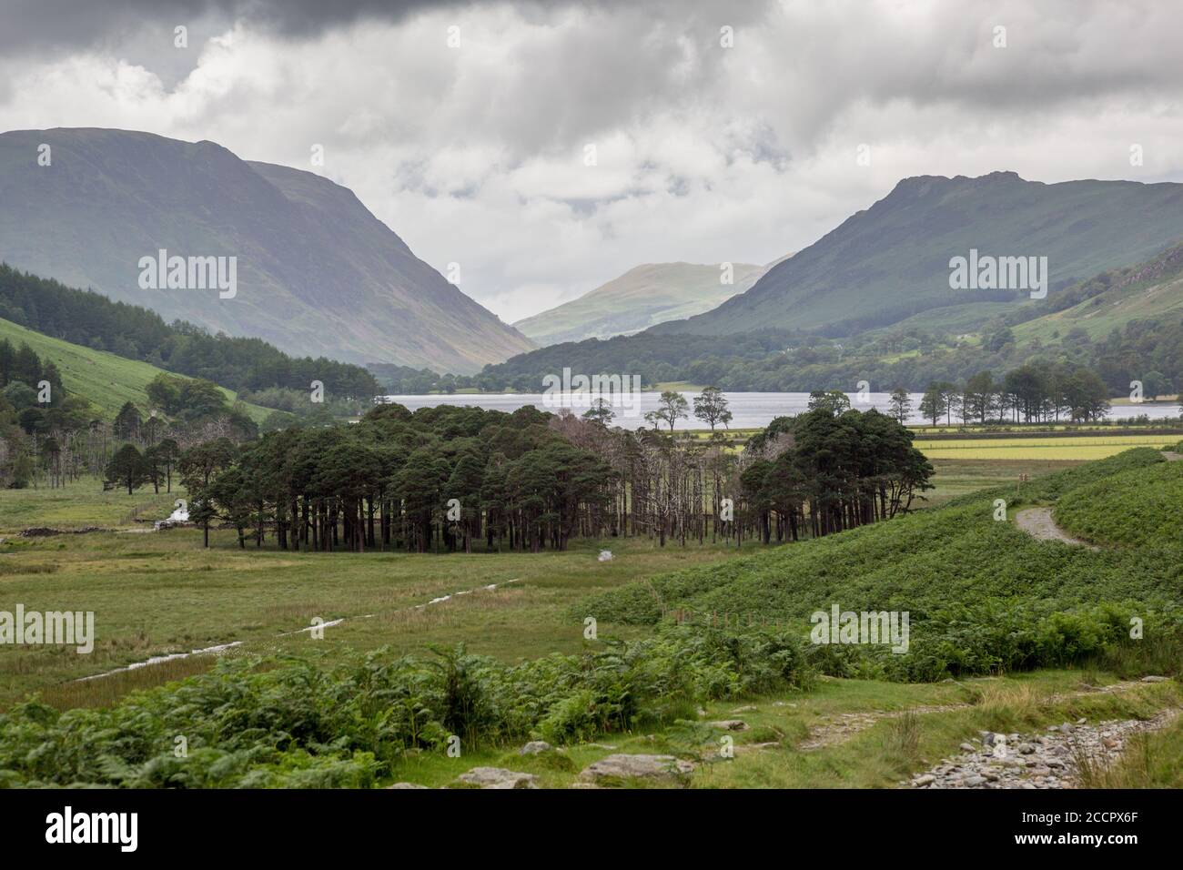 Autour du lac de beurre simple district cumbria angleterre royaume-uni nord Banque D'Images